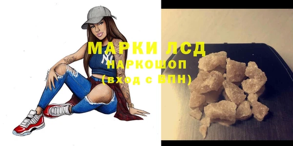 стаф Гусев