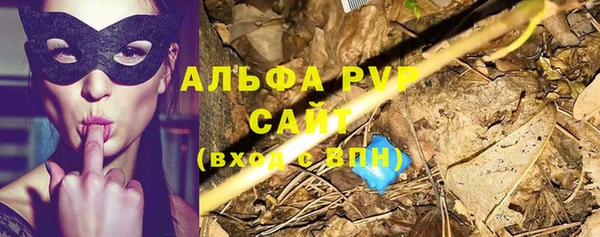стафф Горно-Алтайск