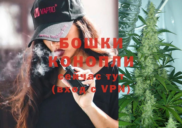 стаф Гусев