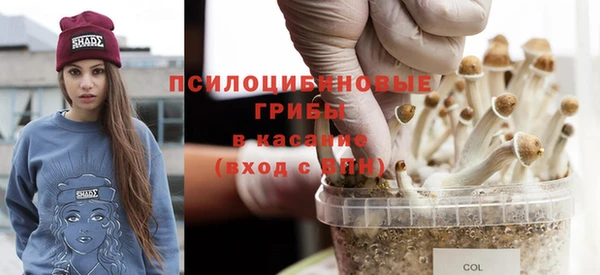 стаф Гусев
