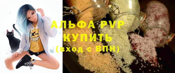 стаф Гусев